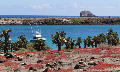 Paisagem da Ilha Plaza Sur.